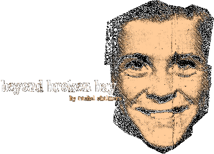 { beyond broken bay } by rachel chalmers