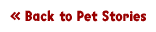 back to pet stories